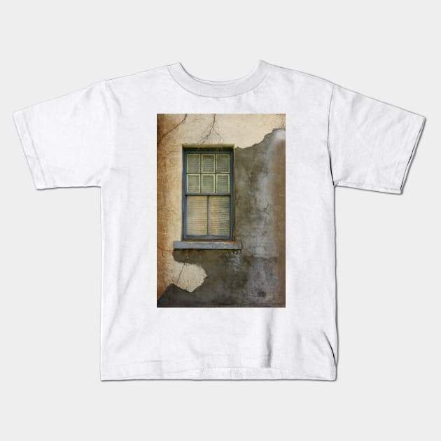 Art of Decay Kids T-Shirt by VKPelham